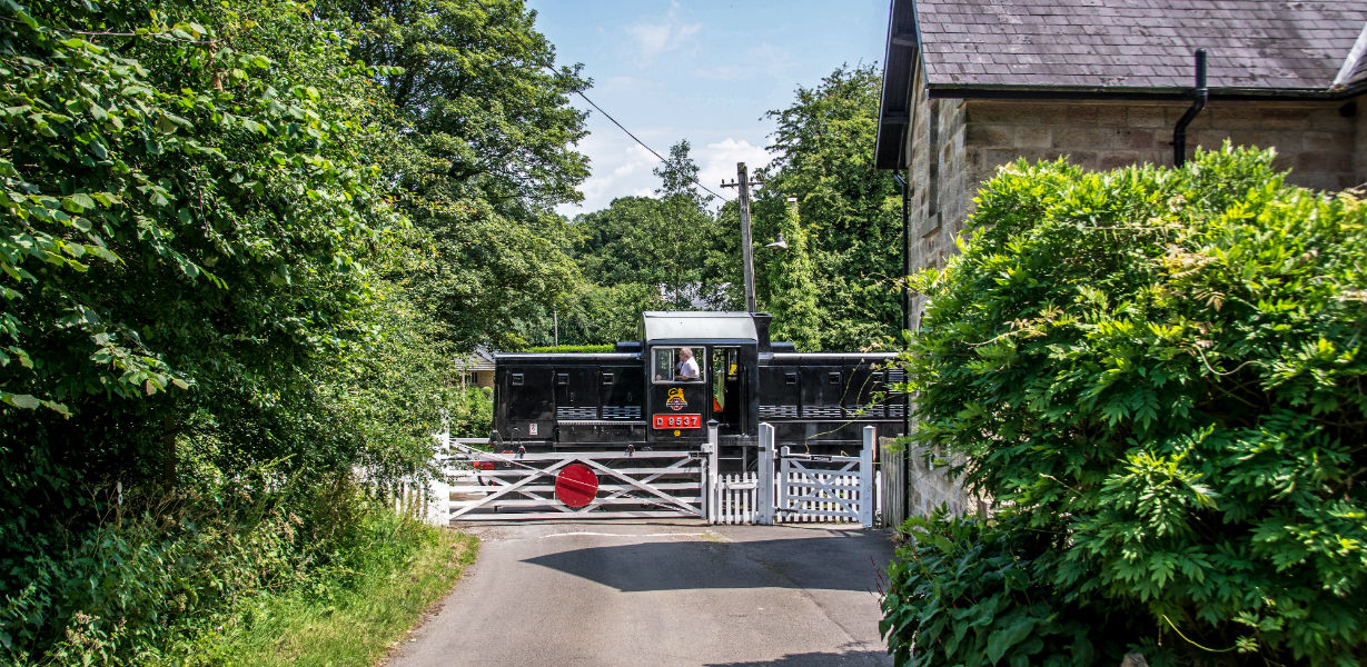 Class 14 at Idridgehay
